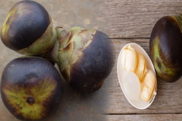 நீர்சத்தும் நார் சத்தும் நிறைந்த பனம் பழத்தில் இத்தனை நன்மைகளா?