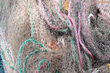 தமிழர் பகுதியில் 22 இலட்சம் ரூபாய் பெறுமதியான சுருக்குவலைகள் மீட்பு