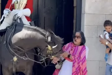 எப்படி என்னை தொடுவாய்? செல்ஃபிக்கு ஆசைப்பட்ட பெண்ணை கடித்துவைத்த குதிரை