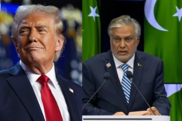 ஆபரேஷன் சிந்தூரில் அமெரிக்காவின் ஆதரவு கேட்கப்பட்டதா? பாகிஸ்தான் அமைச்சர் விளக்கம்