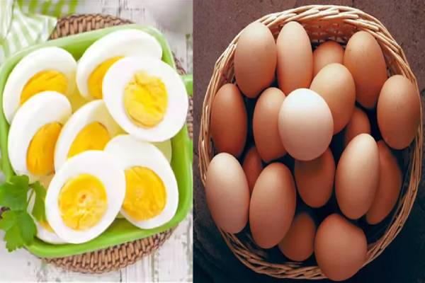 புற்றுநோய் உண்டாக்கும் முட்டை - இதற்கு உண்மை சான்று என்ன? | Eggs Cause Cancer Is It True Safe To Eat