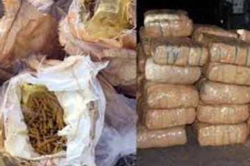 யாழில் சுமார் 3கோடி ரூபாய் பெறுமதியான கேரளா கஞ்சா சிக்கியது!