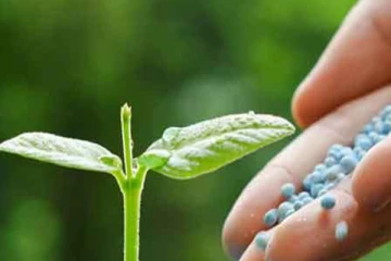 පොහොර නැවක් කොළඹට..