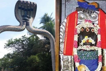 ஆடி மாதத்தில் நாகருக்கு சர்ப்ப வழிபாடு செய்வது ஏன்?