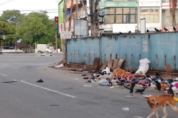 கழிவுகளால் துர்நாற்றம்; பாதசாரிகள், பொதுமக்கள் பெரும் அவதி