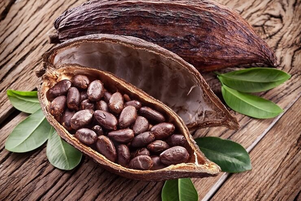 கொலஸ்ட்ராலை கட்டுப்படுத்தும் சாக்லேட்! | Chocolate That Controls Cholesterol