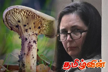 உலகையே சிலிர்க்க வைத்த வழக்கு: கொடூர பெண்ணுக்கு நீதிமன்றம் விதித்த தண்டனை