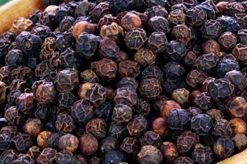 மிளகின் அற்புத நன்மைகள்: பலருக்கும் தெரிந்திடாத விடயம்