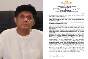 திவால்நிலைக்கான காரணங்களை விசாரிக்க புதிய குழு