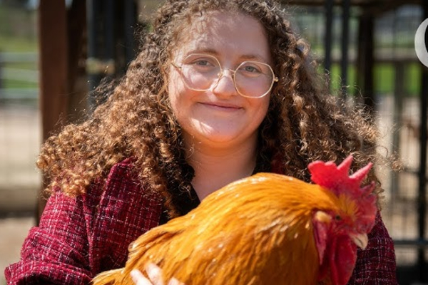 கோழிகளால் சிறை தண்டனைக்கு ஆளான பெண் | Woman Sentenced To Prison For Chickens Us கோழிகளால் சிறை தண்டனைக்கு ஆளான பெண் | Woman Sentenced To Prison For Chickens Us