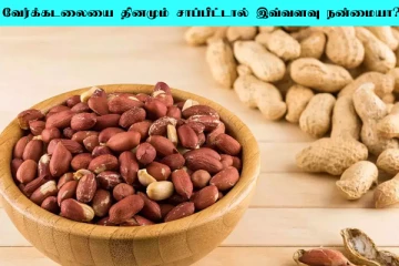 தினமும் வேர்க்கடலை சாப்பிட்டு பாருங்க... அதிசயத்தை கண்கூடாக பார்ப்பீங்க