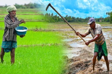 விவசாயிகளுக்கு நற்செய்தி! ரணில் விடுத்த பணிப்புரை