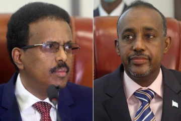 அதிபருடன் கருத்து வேறுபாடு - பதவி நீக்கம் செய்யப்பட்ட பிரதமர்