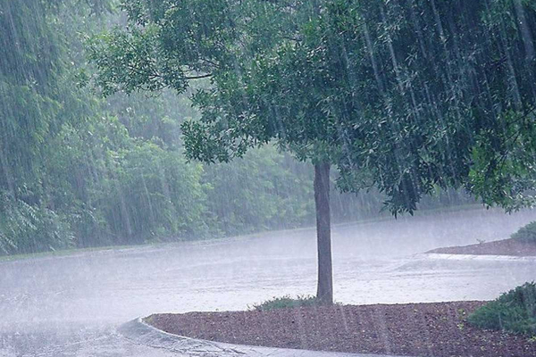 weather today weather today