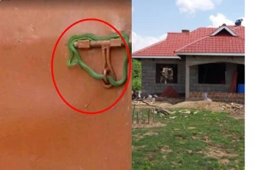 தனது வீட்டின் கதவை பாம்பை கொண்டு பூட்டிய உரிமையாளர்! காரணம் இதுதான்...விமர்சனத்தை கிளப்பிய புகைப்படம்