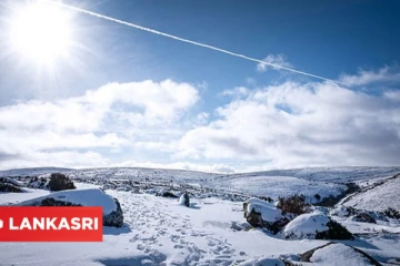 நடுங்கும் குளிரில் அதிகாலை 2 மணிக்கு சாலையோரம் நின்றிருந்த கார்... பொலிசார் கண்ட மோசமான காட்சி