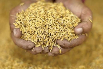 நெல் கொள்வனவு மேற்கொள்வது தொடர்பான கலந்துரையாடல்
