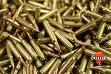 පානම නිවෙසකින් ජීව උණඩ 118 ක්