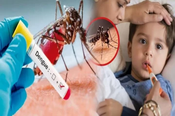 தீவிரமடையும் டெங்கு நோய் தாக்கம் - பொதுமக்களுக்கு சிவப்பு அறிவிப்பு