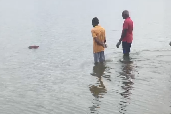 முல்லைத்தீவு ஆற்றில் சடலமொன்று மீட்பு | Body Recovered From Mullaitivu River