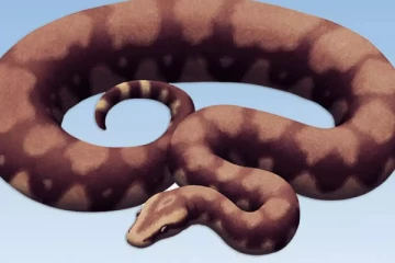 'வாசுகி' 50 அடி நீளம்,1000 கிலோ எடை கொண்ட பாம்பின் படிமம் - அதுவும் இந்தியாவில்!