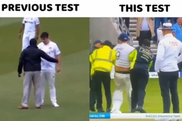 மீண்டும் களத்தில் புகுந்து காமெடி செய்த இங்கிலாந்து ரசிகர்- வைரலாகும் வீடியோ