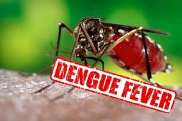 வவுனியாவில் டெங்கு நுளம்பு பரவும் ஆபத்து அதிகரிப்பு