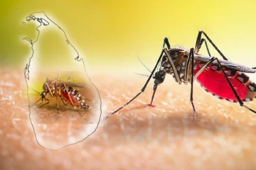 பரவி வரும் டெங்கு;மக்களுக்கு விடுக்கப்பட்டுள்ள எச்சரிக்கை!