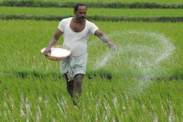 விவசாயிகளுக்கான உர மானியம் அதிகரிக்க தீர்மானம் | Resolution Increase Fertilizer Subsidy Farmers