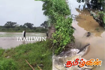 ஓமந்தையில் மடத்துவிளாங்குளம் உடைப்பு