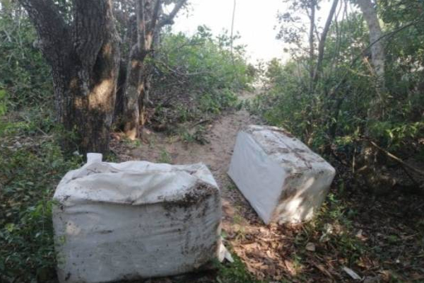 மன்னாரில் காட்டுப்பகுதியில் இருந்து மீட்கப்பட்ட மர்மபொருள்! | Narcotics Recovered Army Intelligence In Mannar