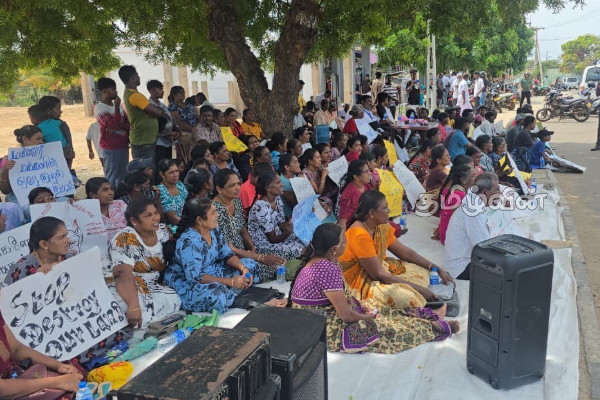 மன்னாரில் காற்றாலைக்கு எதிராக 10 ஆவது நாளாக தொடர் போராட்டம் | Protests10Th Day Against Wind Farm In Mannar