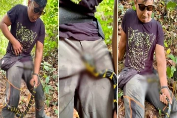 ஆணுறுப்பை கடித்த பாம்பு; ரீல்ஸ் மோகத்தால் நடந்த விபரீதம் - அதிர்ச்சி வீடியோ