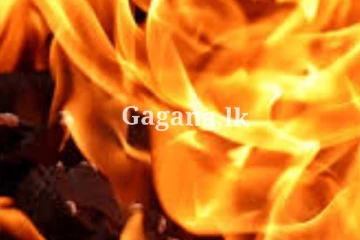 මාර්ගයේ ධාවනය වෙමින් තිබූ වාහනයක් ගිනි ගනී.