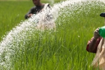 පොහොර නොමිලේ ලබා දීමට වැඩ පිළිවෙළක්..