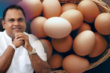 முட்டையின் விலை தொடர்பில் வெளியான முக்கிய தகவல்