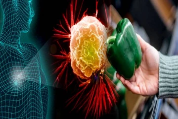 கேன்சருக்கு இதை விட்டால் வேறு மருந்து இல்லை!