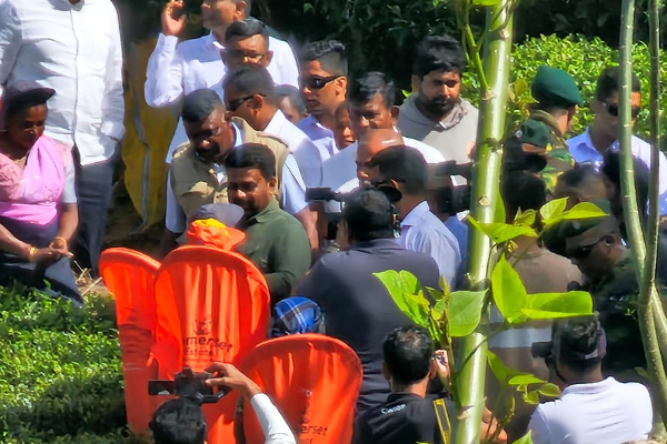 தேயிலை மலைக்கே சென்று தோட்டத் தொழிலாளர்களை சந்தித்த அநுர! | President Anura Meets Plantation Workers