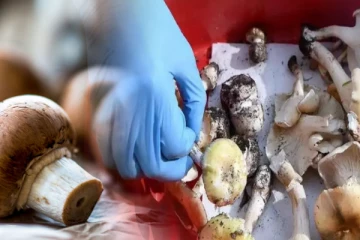 விஷக் காளான் கொண்டு உறவினர்களை கொன்ற பெண்; நீதிமன்றில் நிரூபணம்