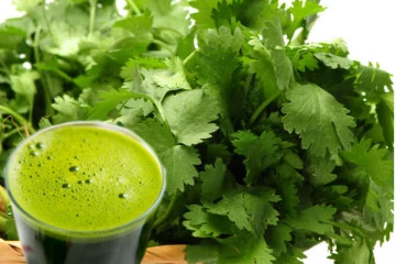 பச்சை கொத்தமல்லியை நீரிழிவு நோயாளிகள் பச்சையாக சாப்பிட்டால் என்ன நடக்கும்! தினமும் சாப்பிடலாமா?