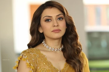 குடும்ப வன்முறை புகாரில் நடிகை ஹன்ஷிகா மீது வழக்குப்பதிவு.., என்ன நடந்தது?