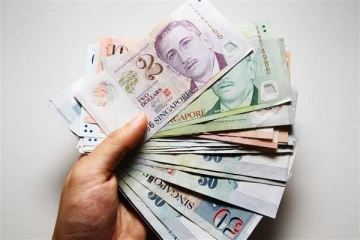 சிங்கப்பூரில் பணமோசடி செய்த இந்திய வம்சாவளி இளைஞர் கைது!