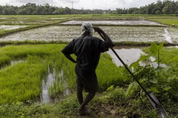 விவசாயிகளுக்கு மகிழ்ச்சித் தகவல்: இன்று முதல் வழங்கப்படவுள்ள பணம்