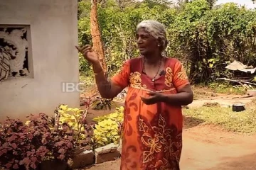 மல்லாவியில்   வாழும் வயோதிப தாயின் வலி சுமந்த கதை..!(காணொளி)