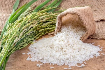 அரிசி விலை அதிகரிக்குமா? தட்டுப்பாடு தொடர்பில் வெளியான அறிவிப்பு