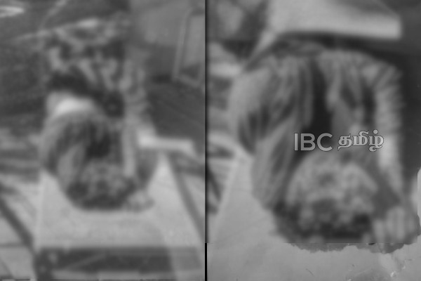 மட்டக்களப்பில் தொடருந்தில் மோதி இளைஞன் உயிரிழப்பு | Man Died After Being Hit By A Train In Batticaloa