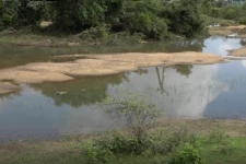 வெள்ளப்பெருக்கால் உடைப்பெடுத்த குளம்!