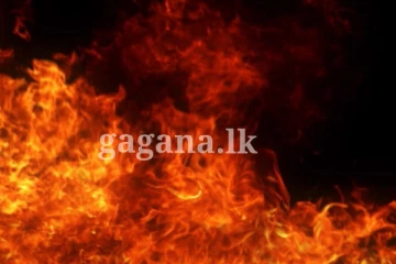 ගින්නකින් වෙළෙඳසැලක් සම්පූර්ණයෙන් ඇවිලී යයි.