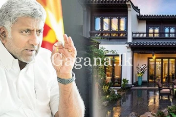 කලාකරුවන් හා මාධ්‍යවේදීන්ට ලැබෙන චීන නිවාස ගැන ඇමතිගෙන් දැනුම් දීමක්.