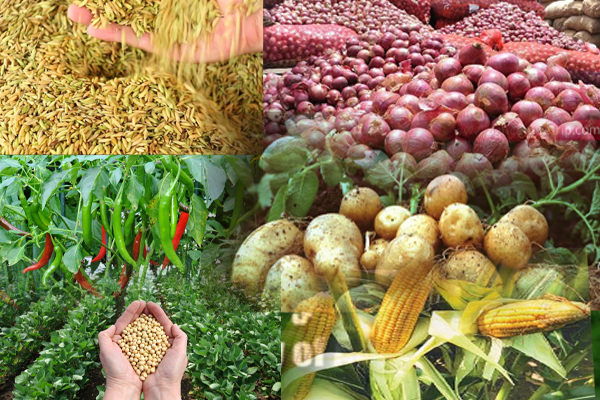 ஆறு வகையான பயிர்களுக்கு வழங்கப்படவுள்ள இலவச காப்புறுதி திட்டம் | Free Insurance Plan In Sri Lanka ஆறு வகையான பயிர்களுக்கு வழங்கப்படவுள்ள இலவச காப்புறுதி திட்டம் | Free Insurance Plan In Sri Lanka